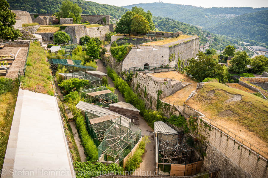 zoo Besançon