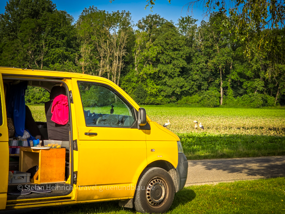 Camper Störche