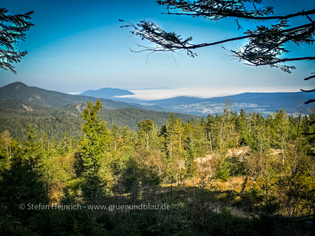 Wanderung auf den großen Arber