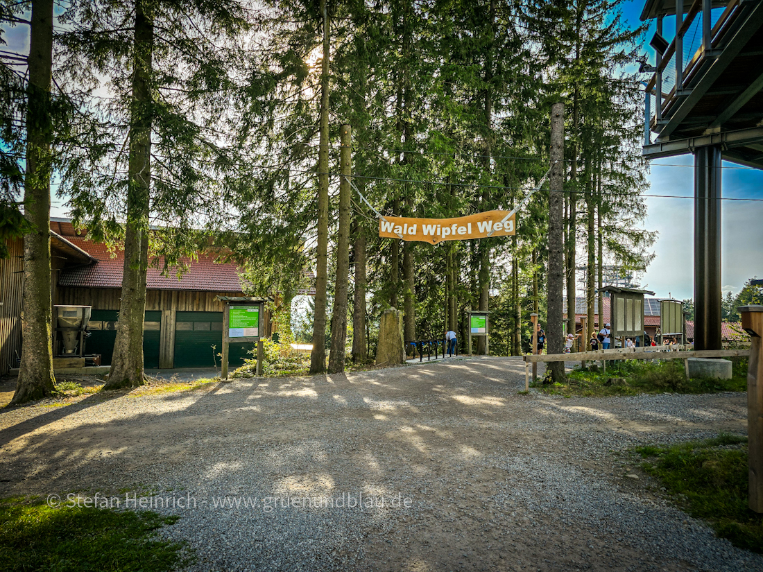 Waldwipfelweg in Sankt Englmar 