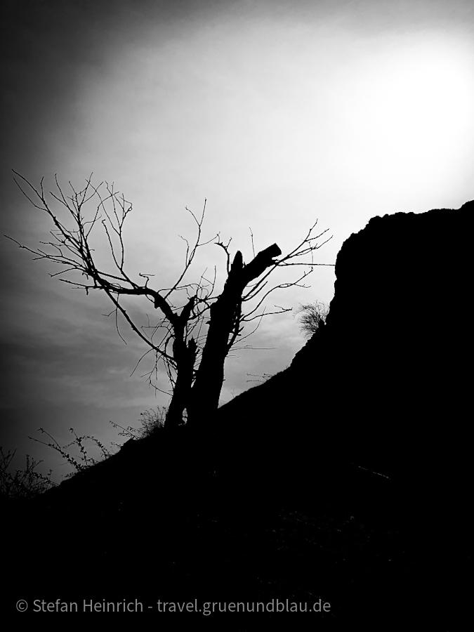 20240407_104828 (1)