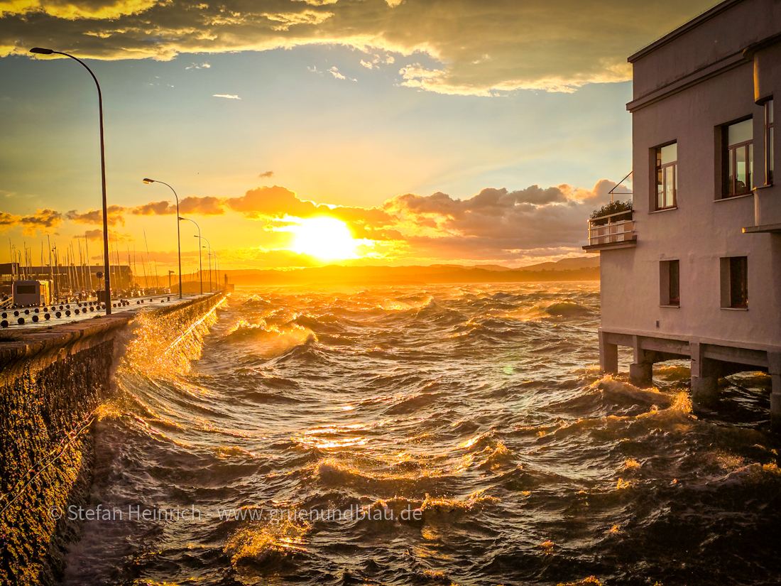 Workshop „Bildbearbeitung mit Lightroom“