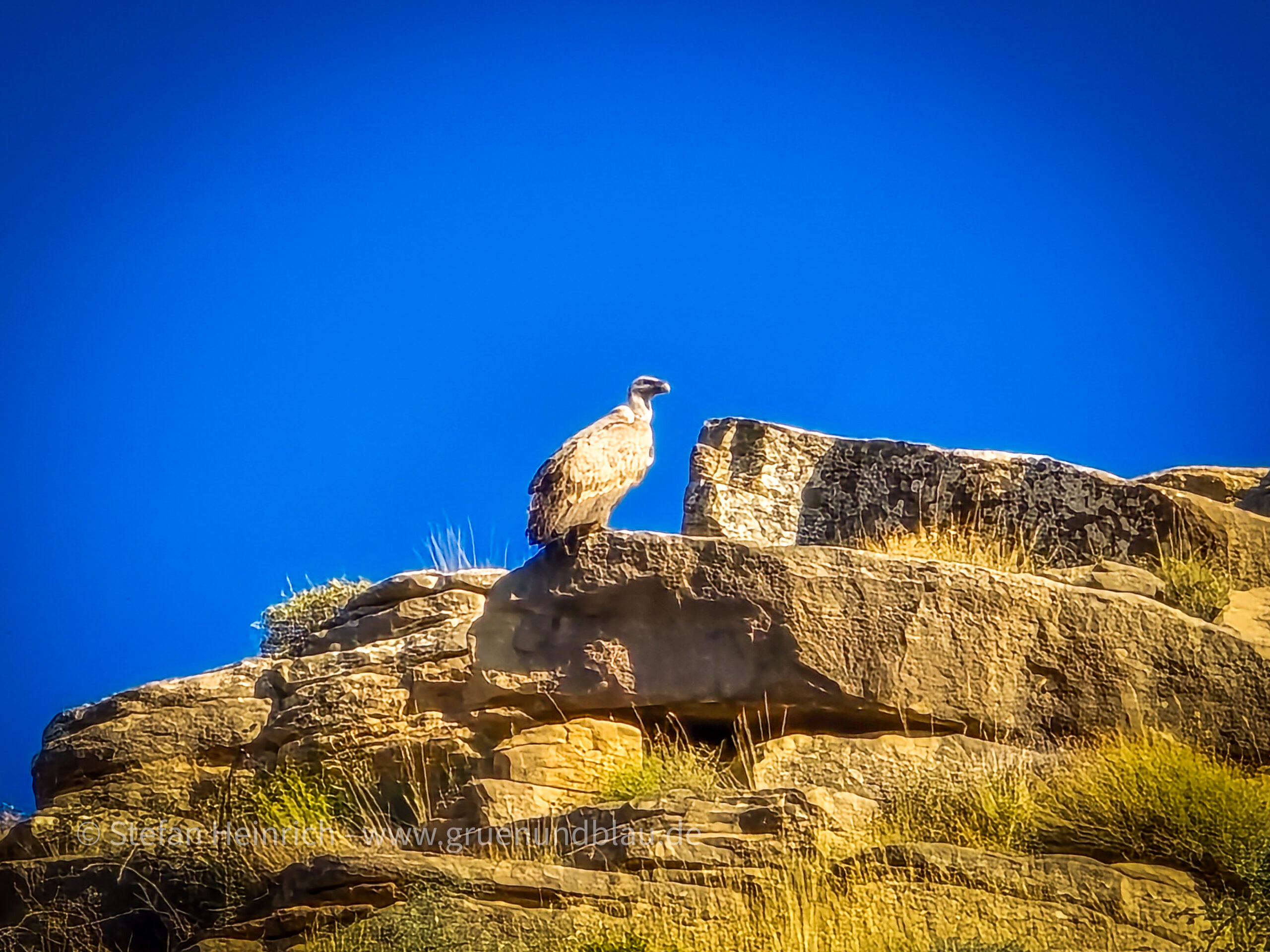 Mirador de los Buitres