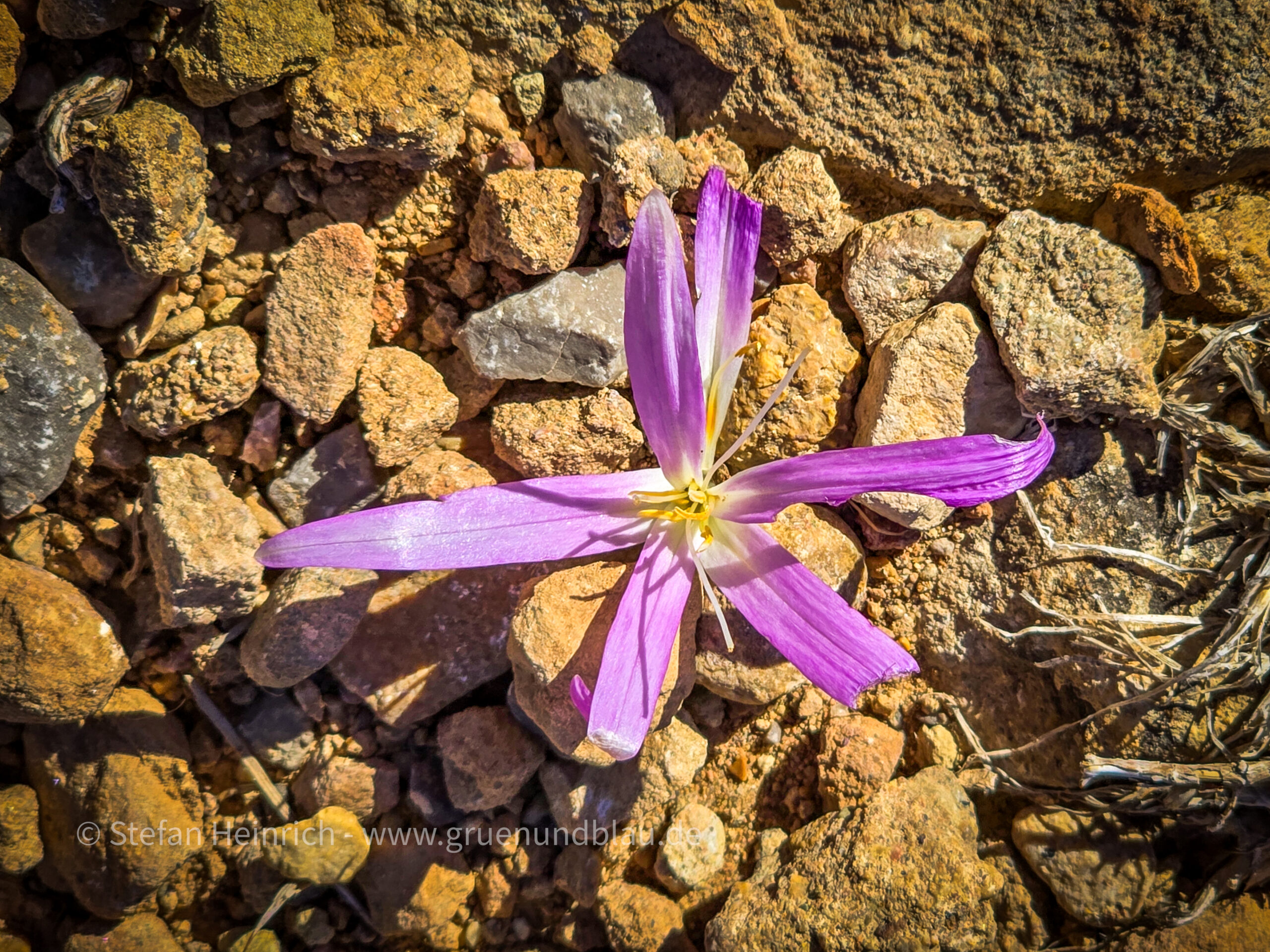 Mirador de los Buitres