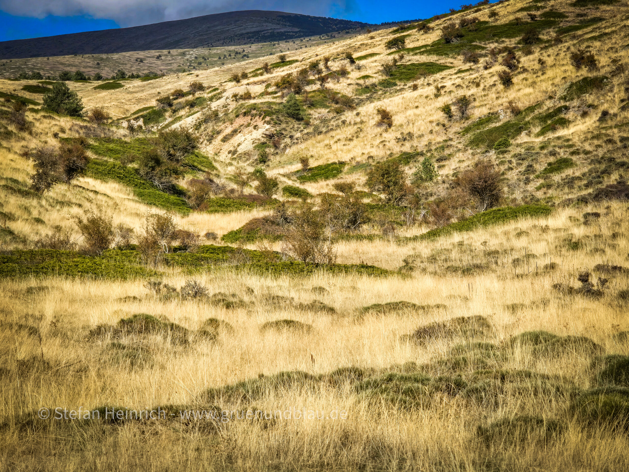 Cuevas de los Pilares