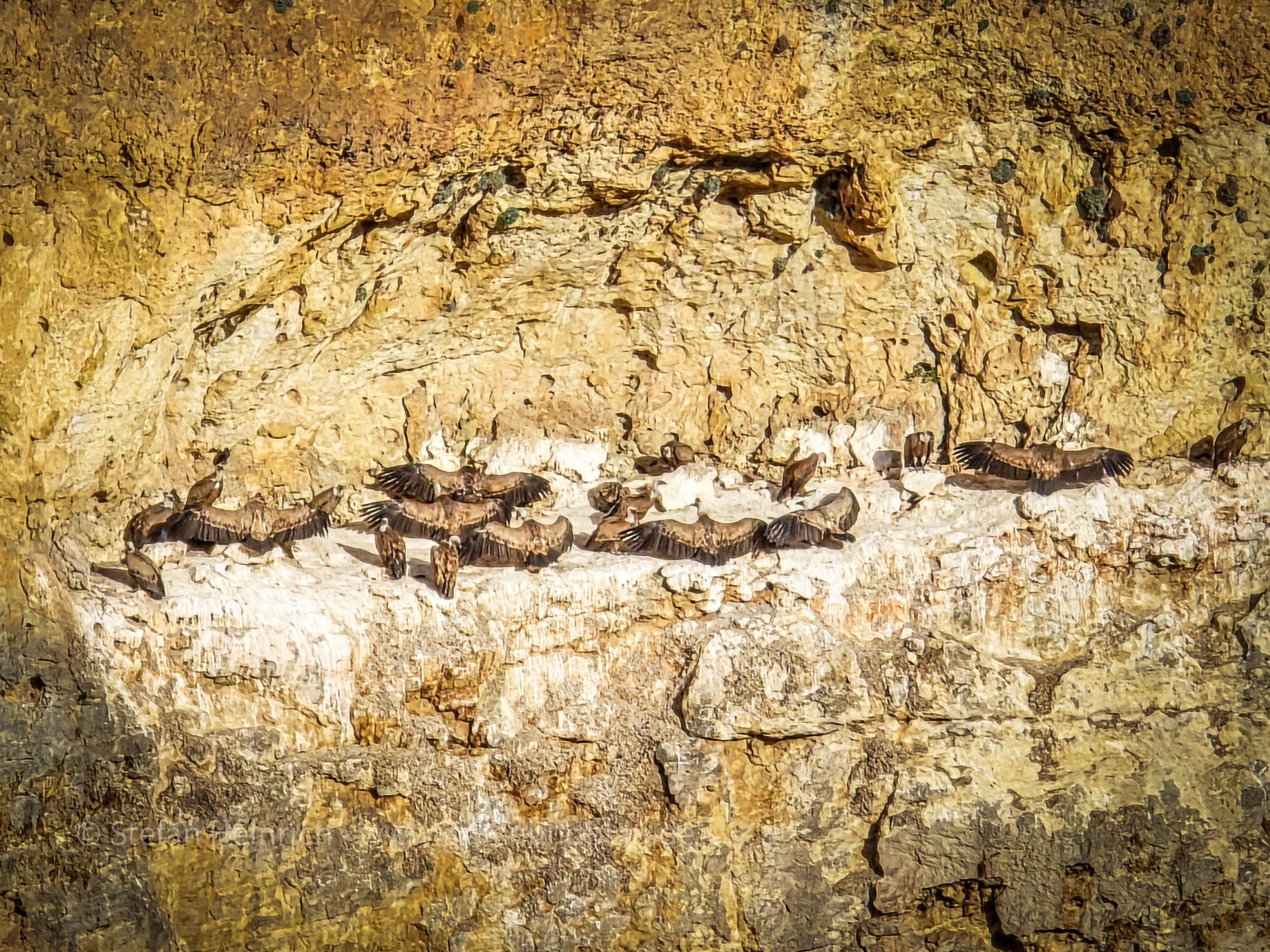 Hoces del Río Duratón