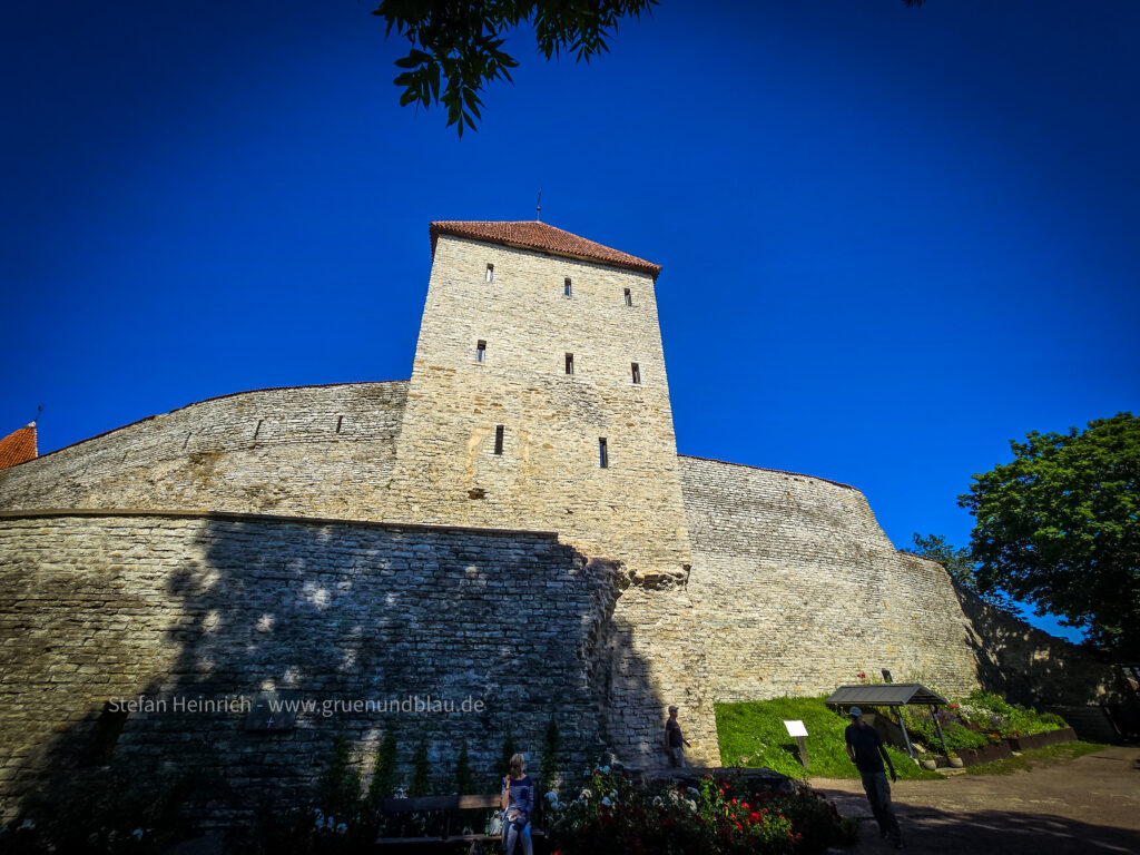 Jungfrauenturm von Tallinn Estland Baltikum