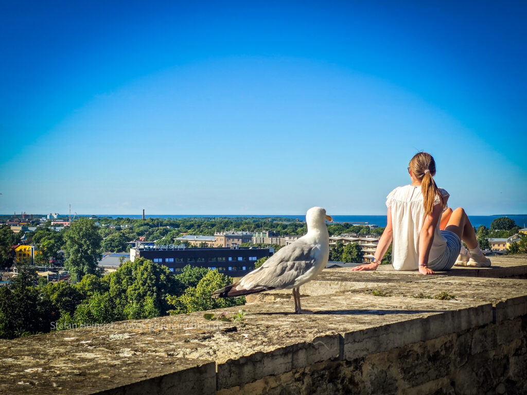 Der Domberg in Tallinn Estland Baltikum