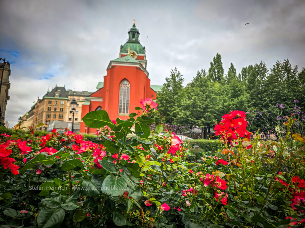 Kungsträdgården Stockholm Schweden